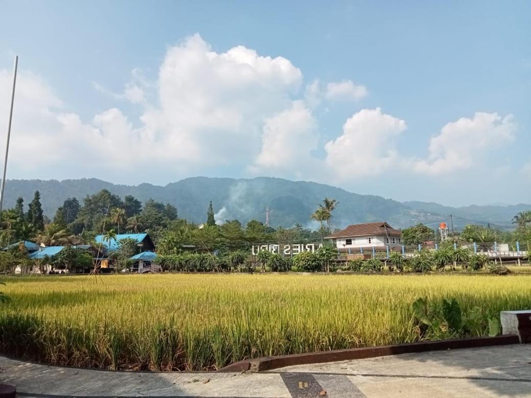 Aries Biru & Puncak
